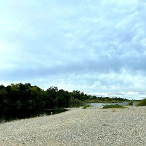 Meet your Posher, Liza